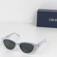Dior Sunglasses AAA (105)