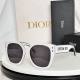 Dior Sunglasses AAA (532)