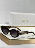 Dior Sunglasses AAA (36)