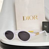 Dior Sunglasses AAA (1015)