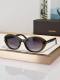 Tom Ford Sunglasses AAA (283)