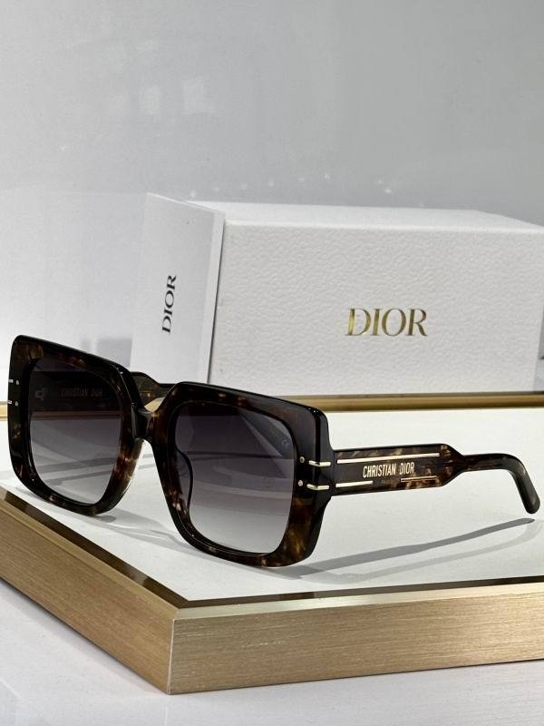Dior Sunglasses AAA (10)