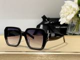 YSL Sunglasses AAA (516)