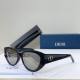 Dior Sunglasses AAA (337)