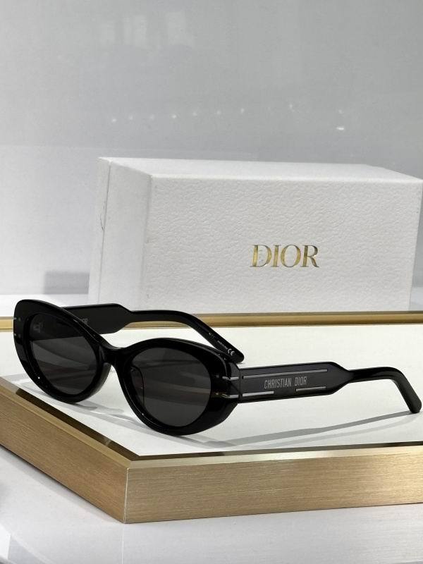 Dior Sunglasses AAA (32)