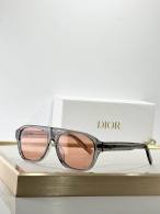Dior Sunglasses AAA (683)