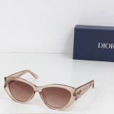 Dior Sunglasses AAA (108)