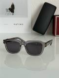 Tom Ford Sunglasses AAA (1097)