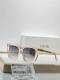 Dior Sunglasses AAA (849)
