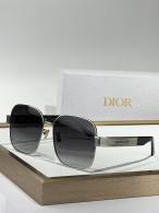 Dior Sunglasses AAA (605)