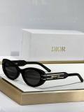 Dior Sunglasses AAA (34)
