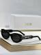 Dior Sunglasses AAA (34)