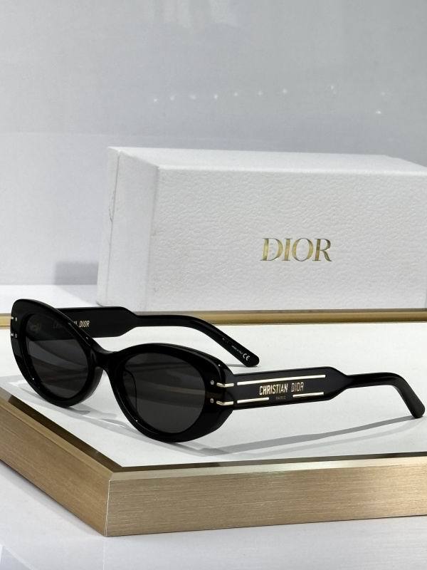 Dior Sunglasses AAA (34)