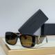 YSL Sunglasses AAA (342)