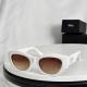 Dior Sunglasses AAA (254)
