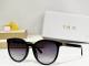 Dior Sunglasses AAA (455)