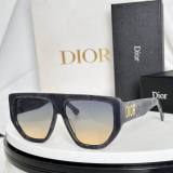 Dior Sunglasses AAA (537)