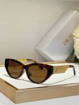 Dior Sunglasses AAA (195)