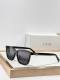 Dior Sunglasses AAA (1172)