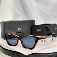 Dior Sunglasses AAA (553)