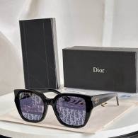Dior Sunglasses AAA (817)
