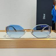 Dior Sunglasses AAA (1122)