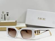 Dior Sunglasses AAA (223)