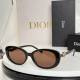 Dior Sunglasses AAA (149)