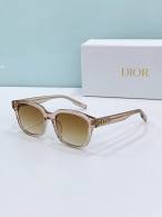 Dior Sunglasses AAA (847)