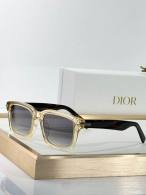 Dior Sunglasses AAA (513)