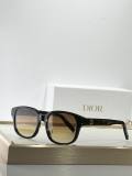 Dior Sunglasses AAA (669)