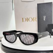 Dior Sunglasses AAA (421) Dior Sunglasses AAA (421)