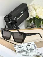 YSL Sunglasses AAA (83)