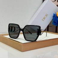Dior Sunglasses AAA (744)