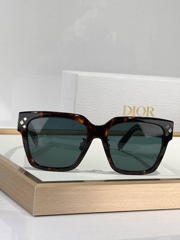Dior Sunglasses AAA (1191)
