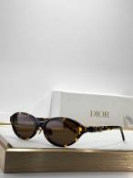 Dior Sunglasses AAA (1050)