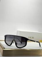 Dior Sunglasses AAA (1053)