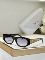 Dior Sunglasses AAA (891)