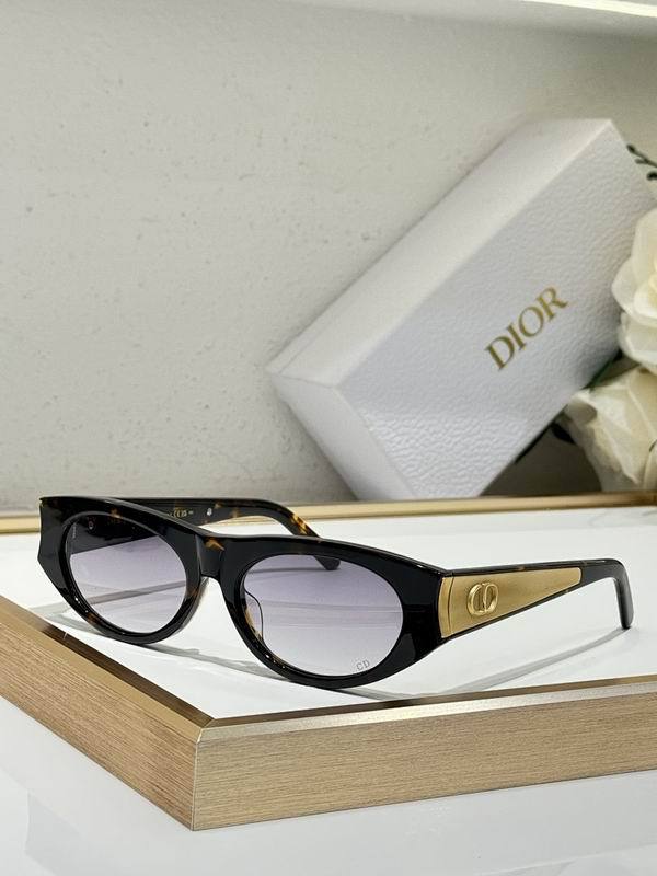 Dior Sunglasses AAA (891)