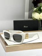 Dior Sunglasses AAA (864)