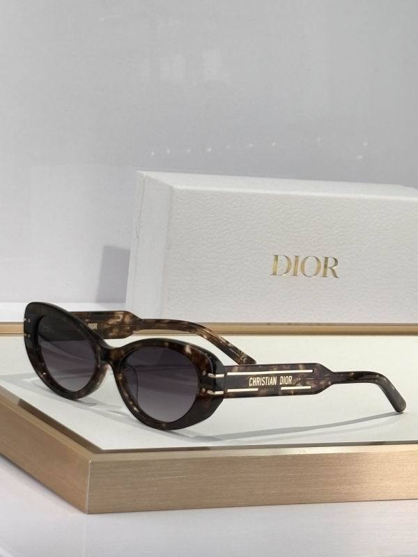 Dior Sunglasses AAA (38)