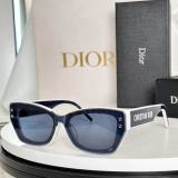 Dior Sunglasses AAA (262)