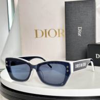 Dior Sunglasses AAA (262)