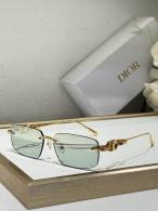 Dior Sunglasses AAA (732)