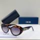 Dior Sunglasses AAA (989)