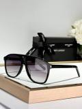 YSL Sunglasses AAA (211)