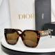 Dior Sunglasses AAA (531)