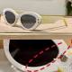Dior Sunglasses AAA (1175)