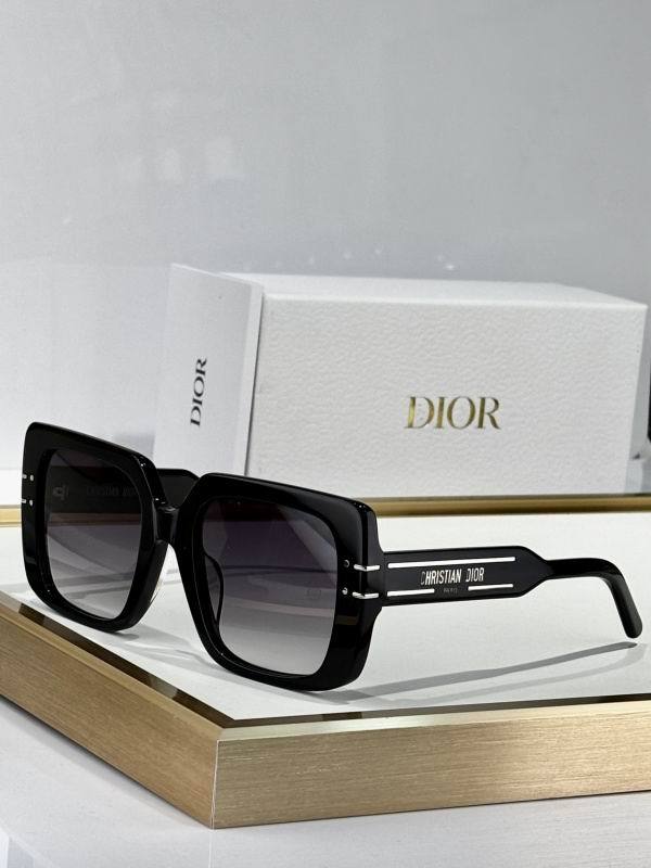 Dior Sunglasses AAA (13)