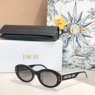 Dior Sunglasses AAA (488)